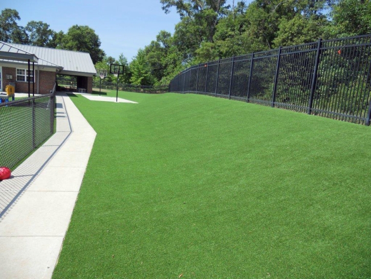 Synthetic Turf Supplier Soledad, California Lawn And Garden, Commercial Landscape