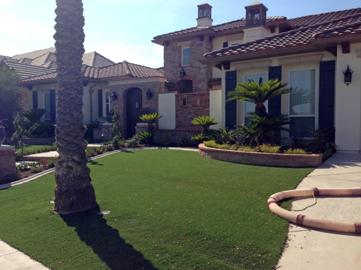 Synthetic Turf Supplier Tres Pinos, California Garden Ideas, Front Yard Landscaping Ideas