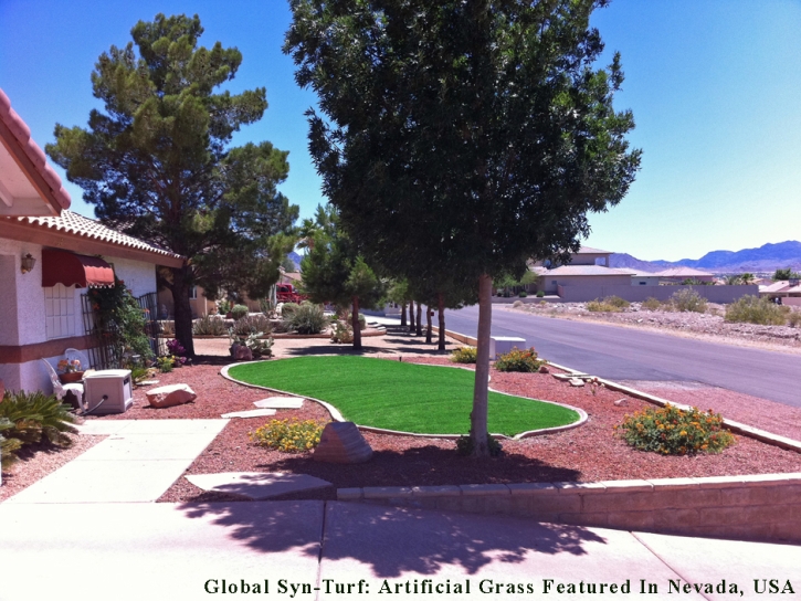 Synthetic Turf Tarpey Village, California Design Ideas, Front Yard