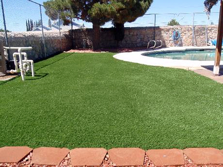 Turf Grass Ballico, California Cat Playground, Kids Swimming Pools