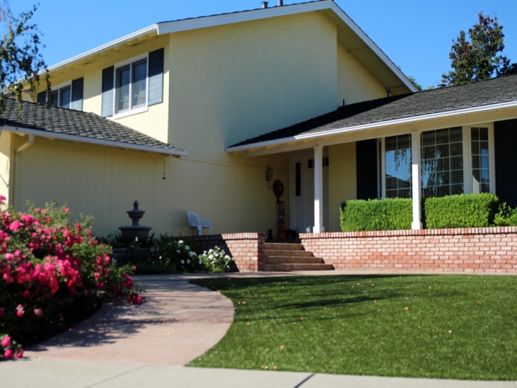 Turf Grass Herald, California Landscaping Business, Front Yard Landscaping Ideas