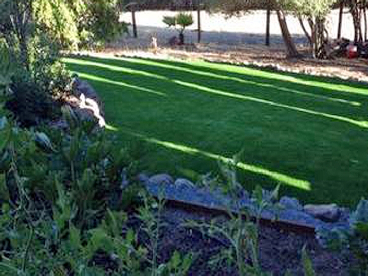 Turf Grass Live Oak, California Garden Ideas, Backyards