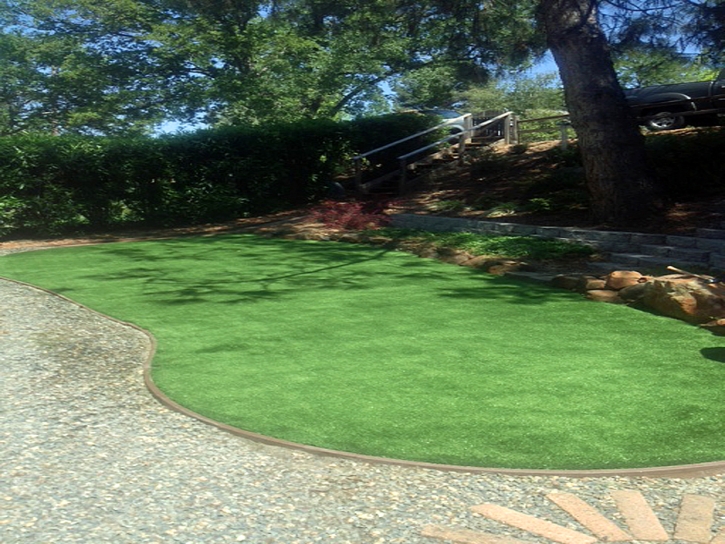 Turf Grass Mendota, California Landscape Photos, Backyard Design