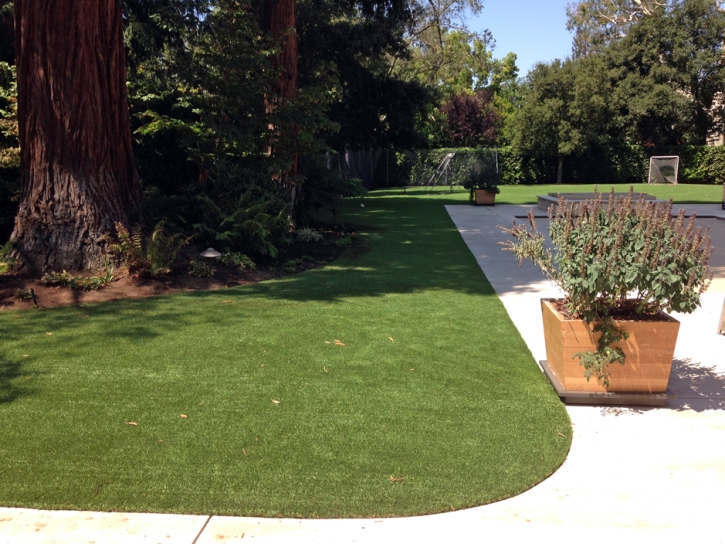 Turf Grass Mono Vista, California Dog Parks, Front Yard Landscape Ideas