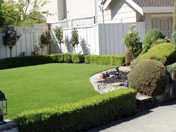 Turf Grass Poplar-Cotton Center, California Rooftop, Front Yard Ideas