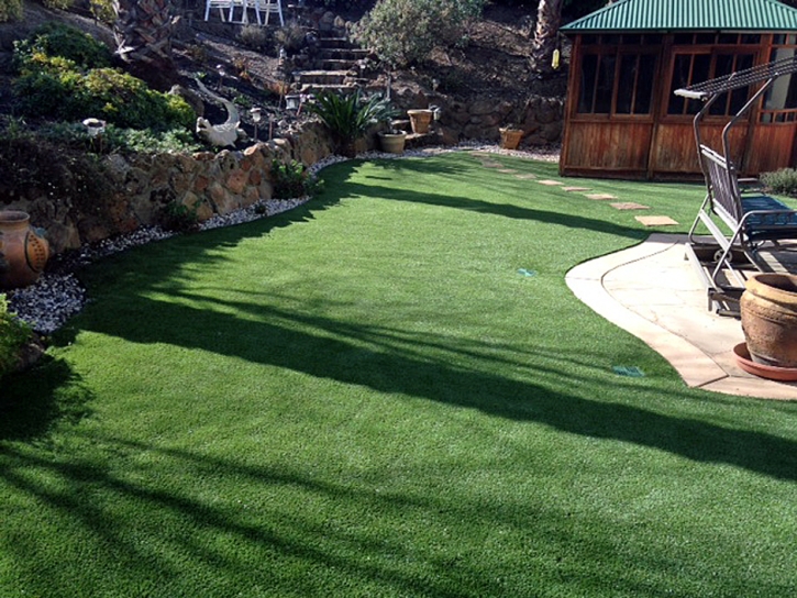 Turf Grass Ripon, California Roof Top, Backyard Design